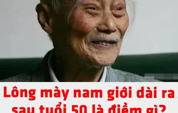 498009587_1101458418668727_9040605843786100211_n