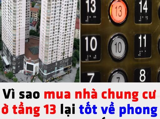 524658006_1159354886212413_3054490736343961604_n