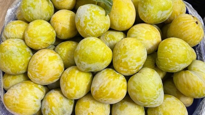 choang-vang-voi-loai-man-la-tu-trung-quoc-gia-tren-troi-450-000d-kg-khach-van-tranh-nhau-chot-don-dspl-2-09161312-1751944509911-17519445101901524640771