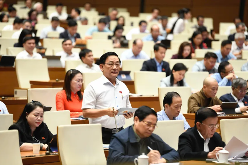 đại biểu quốc hội